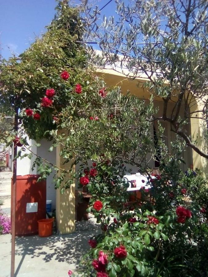Holiday Home Zeljana Kaprije Esterno foto