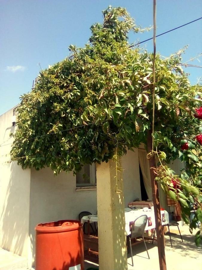 Holiday Home Zeljana Kaprije Esterno foto
